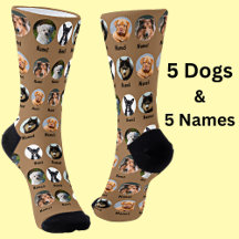 5 Dogs, 5 Names, Dog Photo - Personalized Brown