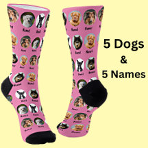 5 Dogs, 5 Names, Dog Photo - Personalized Pink