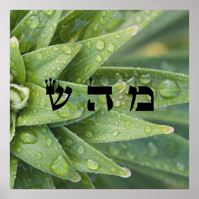 5 Healing - 72 Names of God Poster (Front)