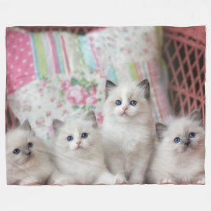 5 KITTENS FLEECE BLANKET