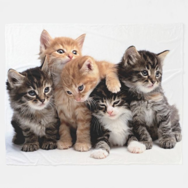 5 LITTLE KITTENS FLEECE BLANKET (Front (Horizontal))