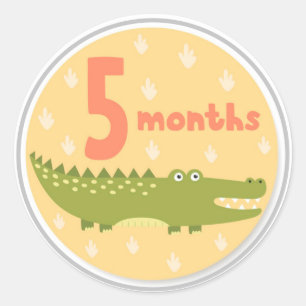 5 Month Baby Milestone Classic Round Sticker