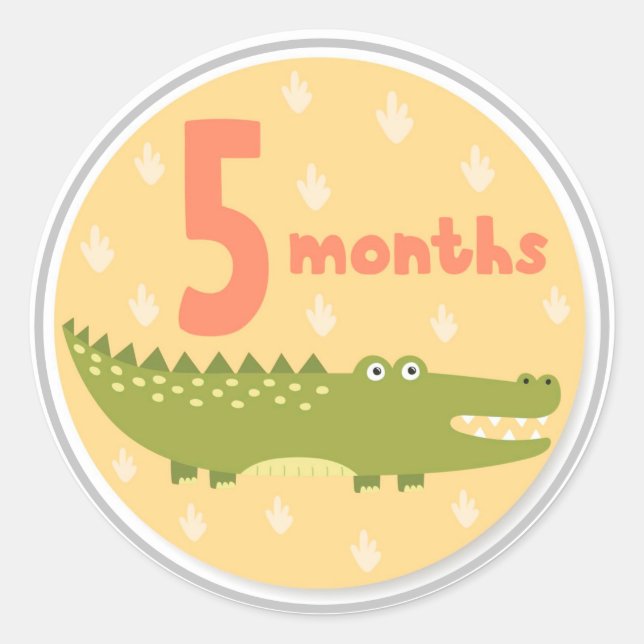 5 Month Baby Milestone Classic Round Sticker (Front)
