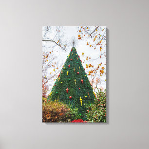 5 Story SDC Tree Canvas Print