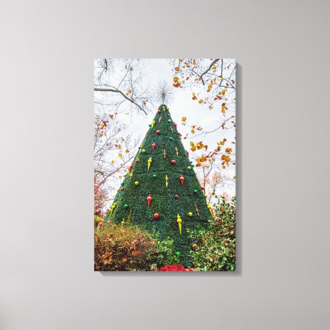 5 Story SDC Tree Canvas Print (Front)