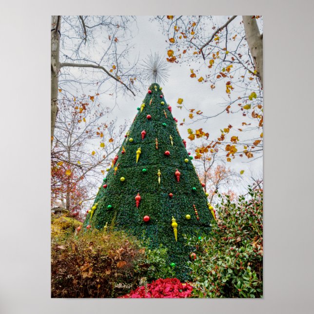 5 Story SDC Tree Poster (Front)