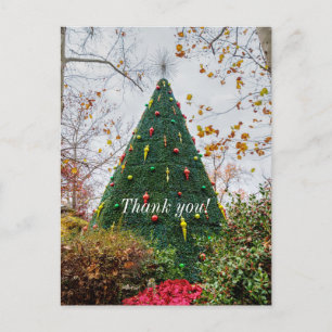 5 Story Sdc Tree Thank You Postcard