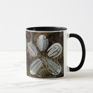 5 Trilobites Mug