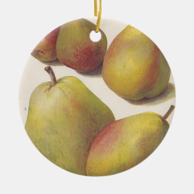 5 vintage pears illustrated ceramic ornament (Front)