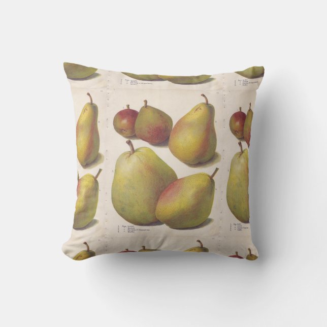 5 vintage pears illustrated cushion (Front)