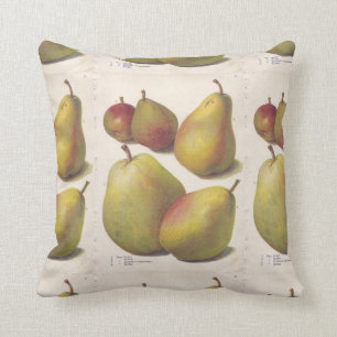 5 vintage pears illustrated cushion