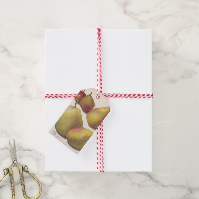 5 vintage pears illustrated gift tags (With Twine)