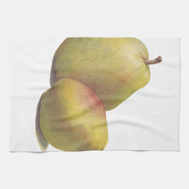 5 vintage pears illustrated kitchen towel (Horizontal)