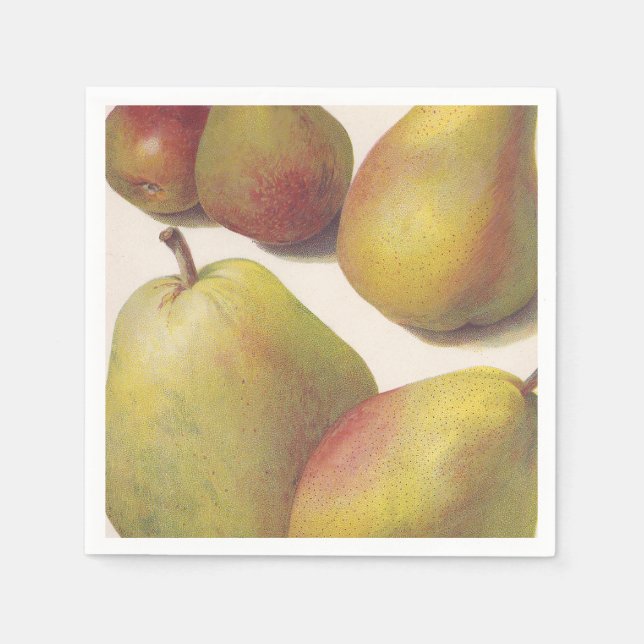 5 vintage pears illustrated napkin (Front)