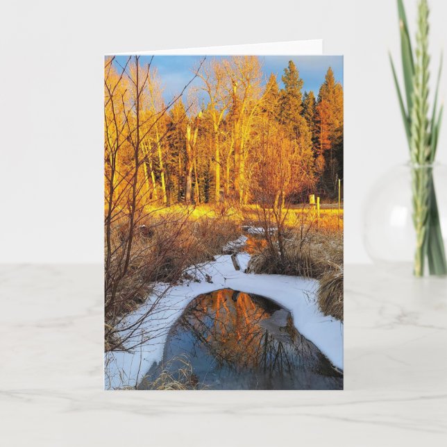 5"x7" Folded Card || Creek Reflection 2 (Front)