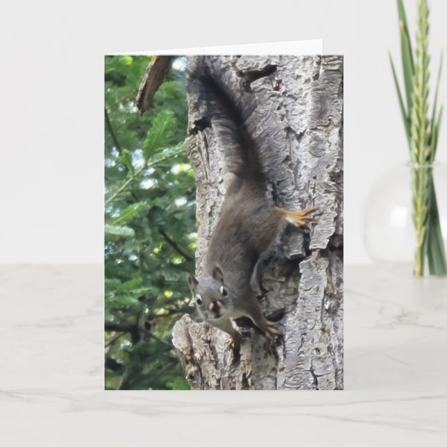 5"x7" Folded Card || Farm Squirrel Photo Paint (Front)