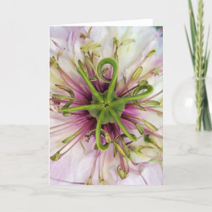 5"x7" Folded Card Love-In-A-Mist