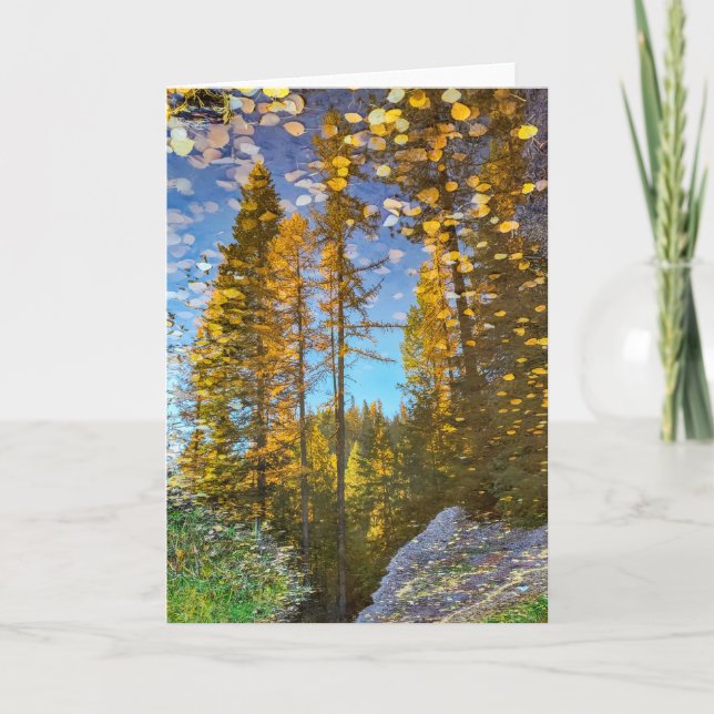 5"x7" Folded Card || Mountain Puddle (Front)