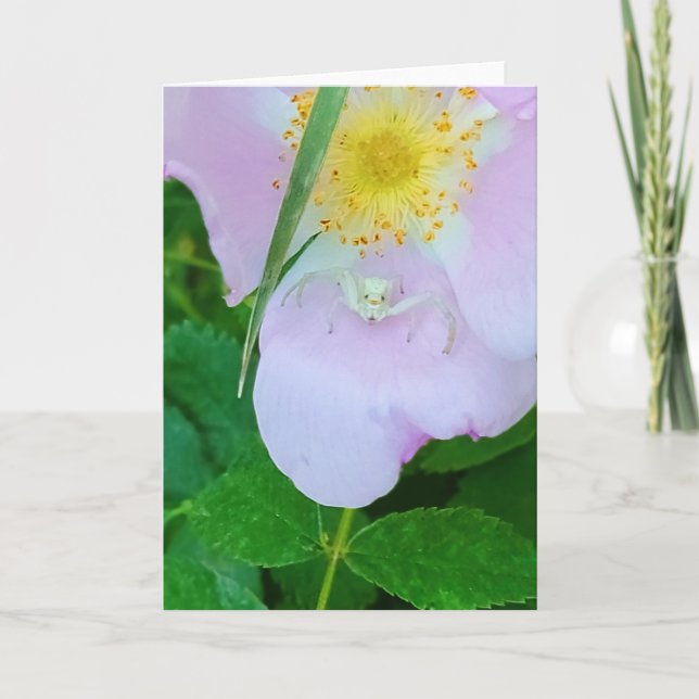 5"x7" Folded Card || Smilin’ At You (Front)