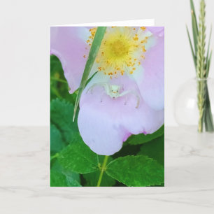 5"x7" Folded Card    Smilin’ At You