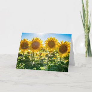 5 x 7 Blank Note Card Set