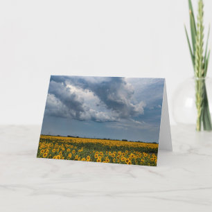 5 x 7 Blank Note Card Set