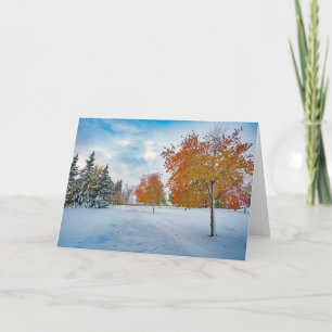 5 x 7 Blank Note Card Set