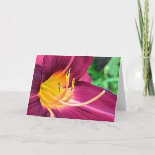 5 x 7 Blank Note Card Set