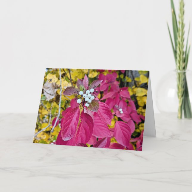 5 x 7 Blank Note Card Set (Front)