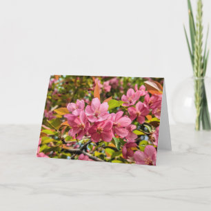 5 x 7 Blank Note Card Set