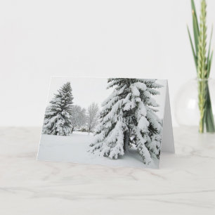 5 x 7 Blank Note Card Set