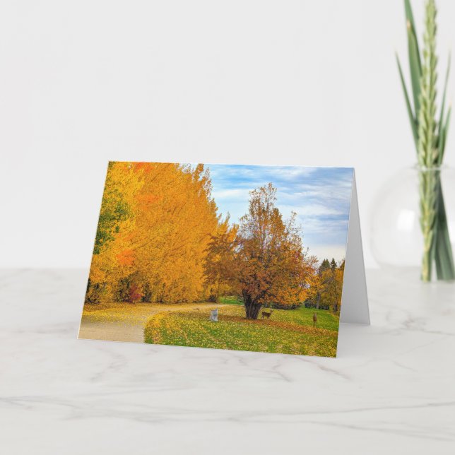 5 x 7 Blank Note Card Set (Front)