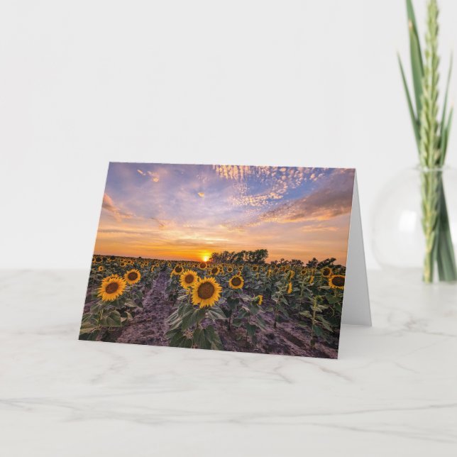 5 x 7 Blank Note Card Set (Front)