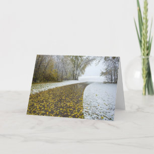5 x 7 Blank Note Card Set