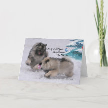 5 x 7 carte de Noël de Keeshond de 2018 vacances