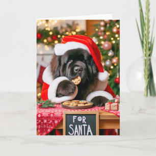 5" x 7" Folded Holiday Card Santa's Cookies