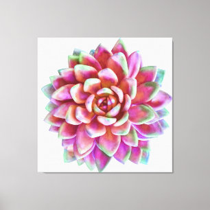 5ft x 5ft extra large succulent canvas print