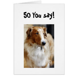 5O YOU SAY!