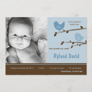 5x7 Baby Boy Blue Birdsl Photo Birth Announcement