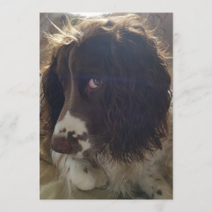 5x7 blank birthday card