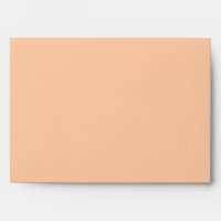 5x7  Envelope Option 2 Penguin Love/Hearts Peach