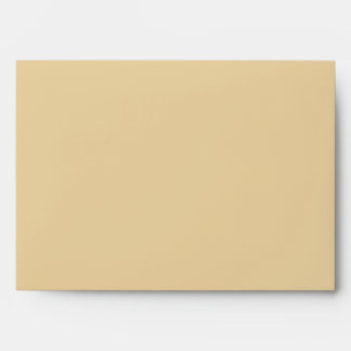 5x7 Envelope Option 3 Seashells on Sandy Beach st