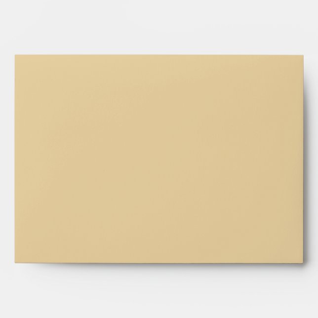 5x7  Envelope Option 3 Seashells on Sandy Beach st (Front)