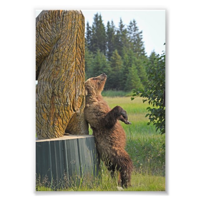 5x7 photo of grizzly bear (Front)