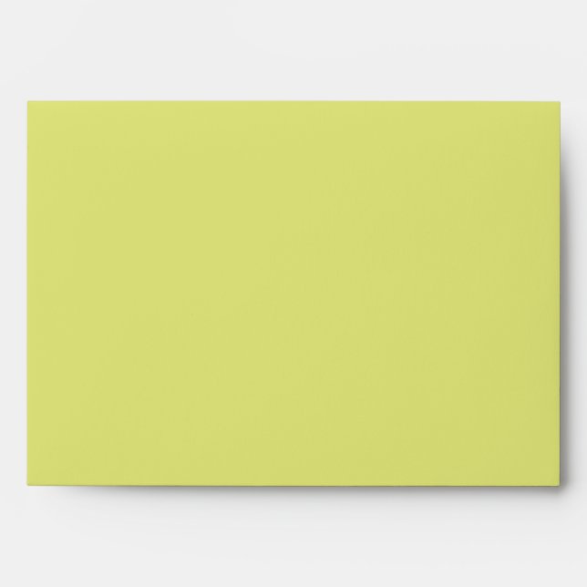 5x7 YellowOutside Turtle Reef Polk Inside Envelope (Front)