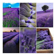 60.96x60.96cm, Poster washer (mat)