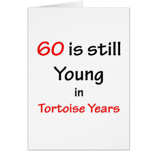60 Tortoise Years