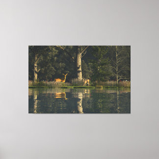 60"x40" Canvas Art w' "Startled" image