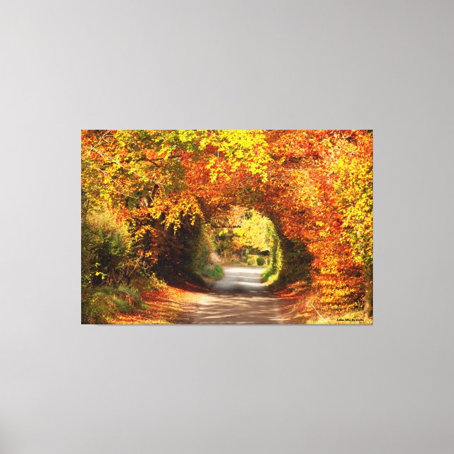 60" x 40" Canvas Yellow Bog Kilcullen Print (Front)