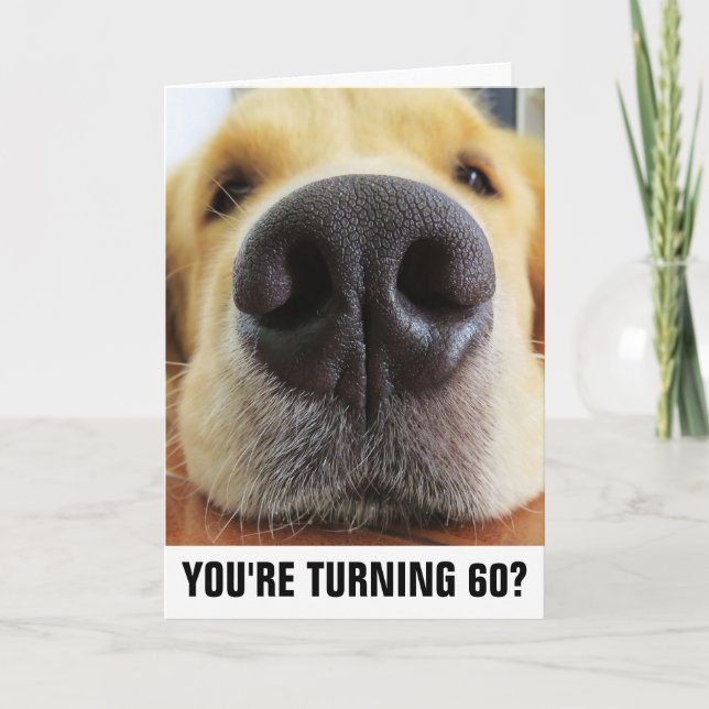60E ANNIVERSAIRE CHIEN FUNNY CARTES DE RECONNAISSA (Devant)